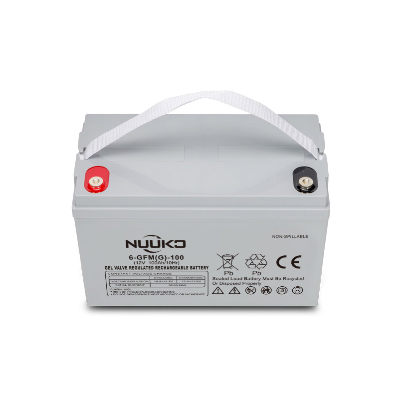 NUK-6GFM 100G